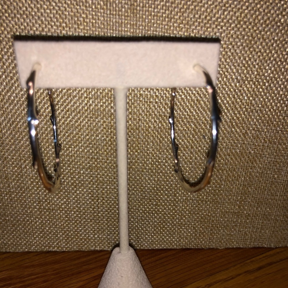 Chloe & Isabel Branch Hoops Silver